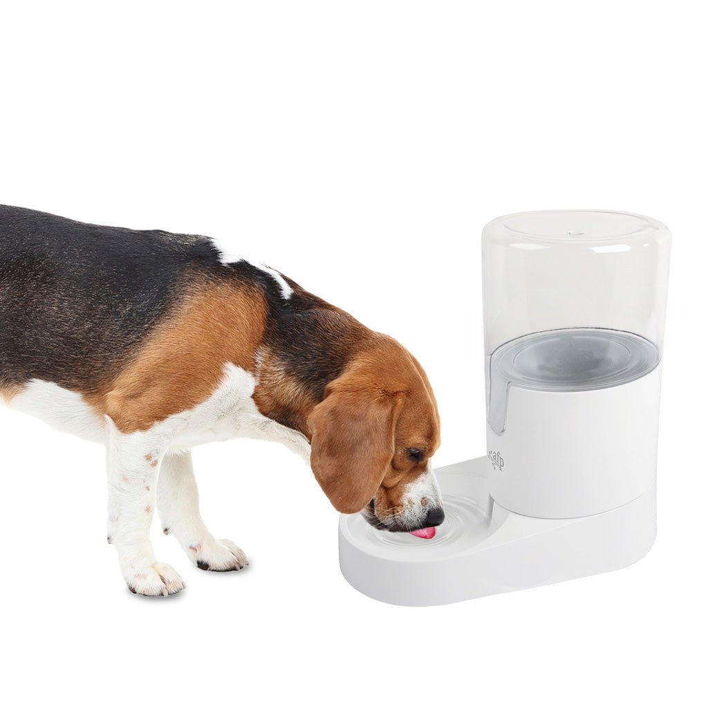 AFP Lifestyle 4 Pets Gravity Pet Waterer - All For Animals