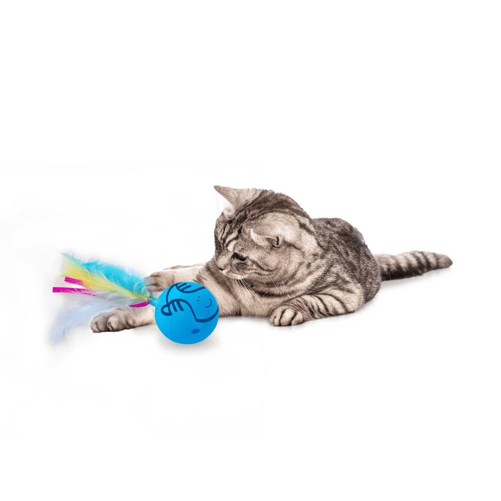 AFP Modern Cat Dizzy Spinner - All For Animals