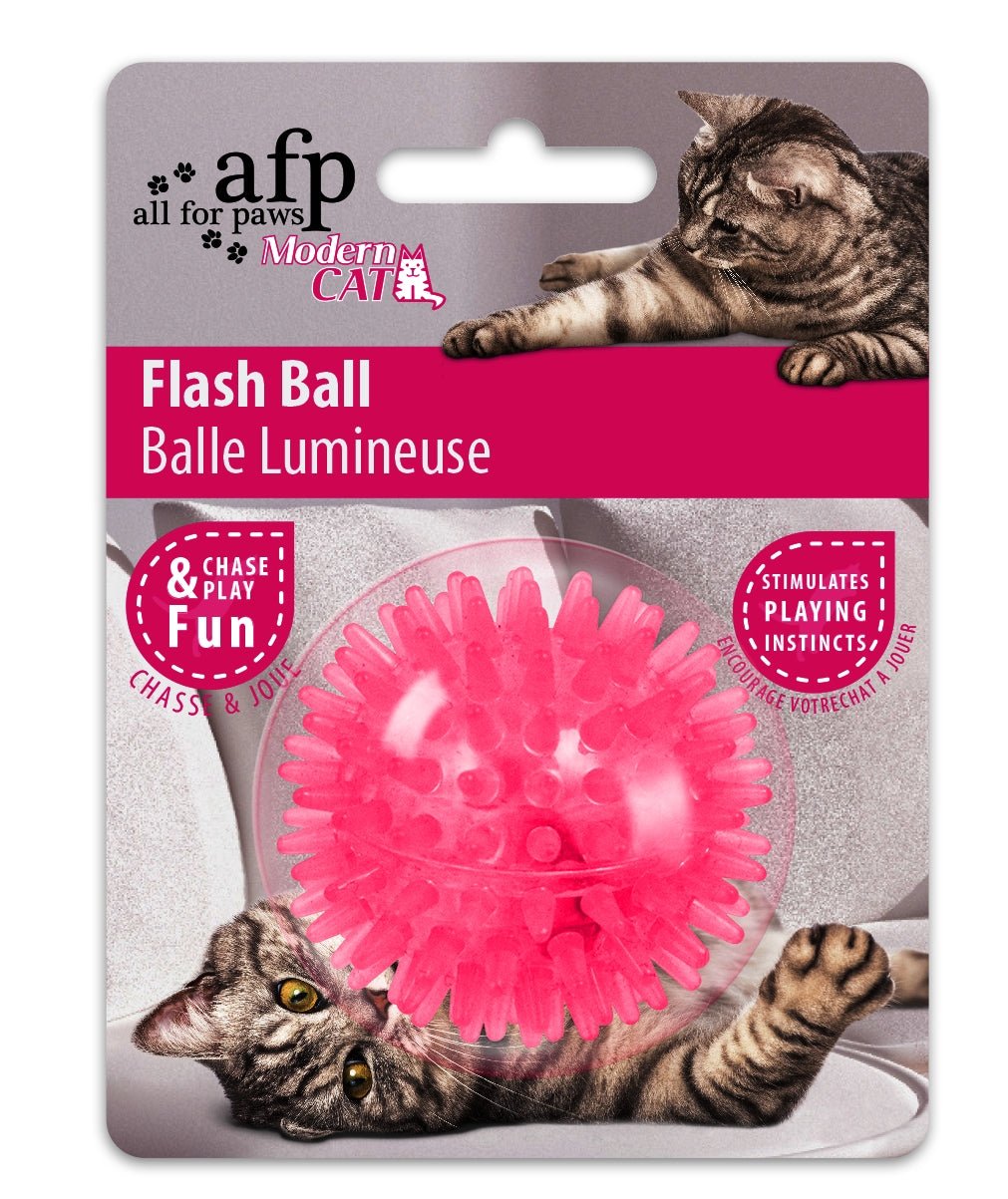 AFP Modern Cat - Flash Ball - All For Animals
