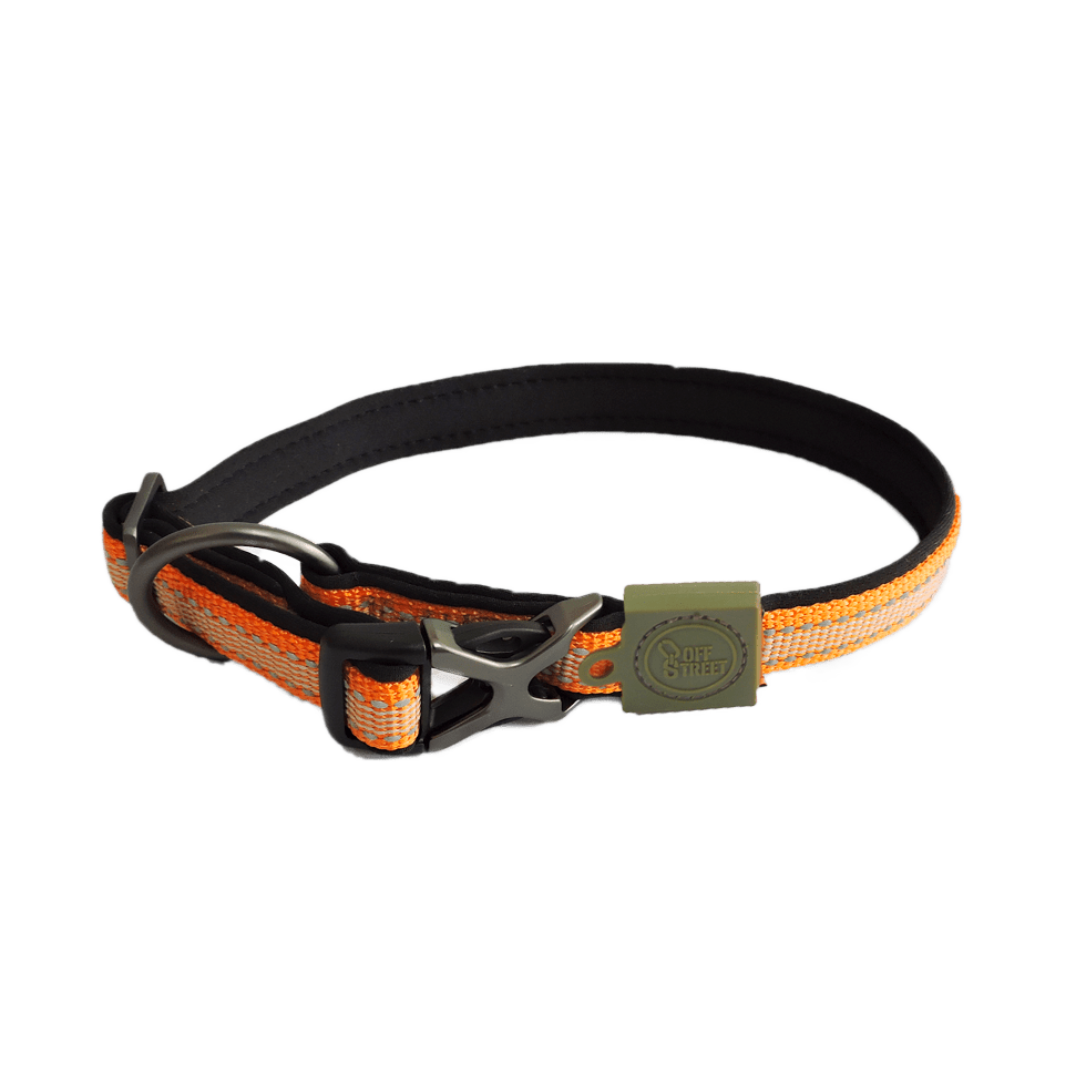 AFP Off Street - Dog Collar Mandarijn - All For Animals