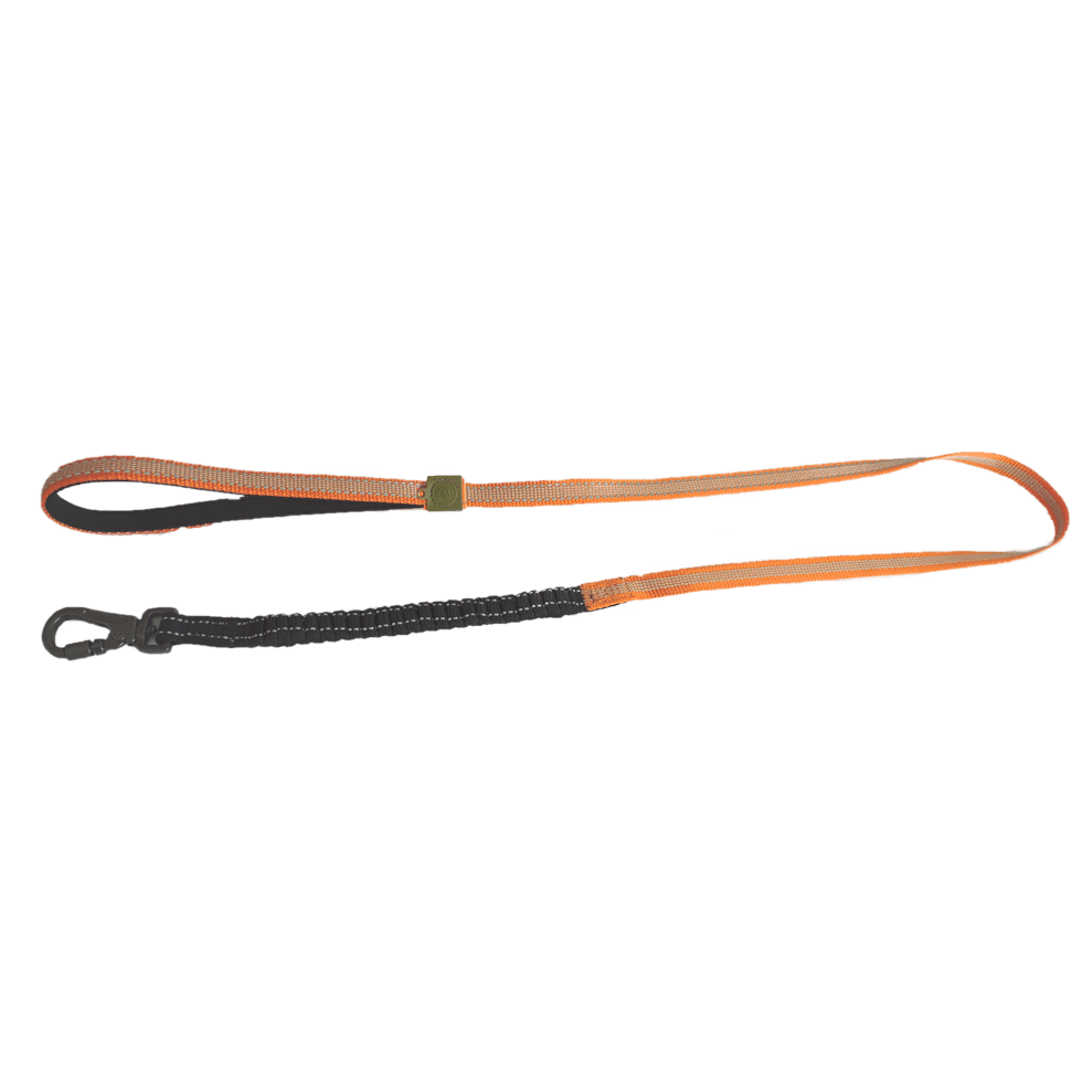 AFP Off Street - Dog Leash Mandarijn - All For Animals
