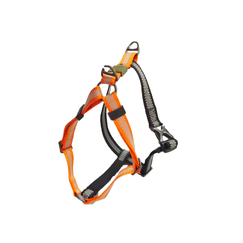 AFP Off Street - Dog Non-Pull Harness Mandarijn - All For Animals