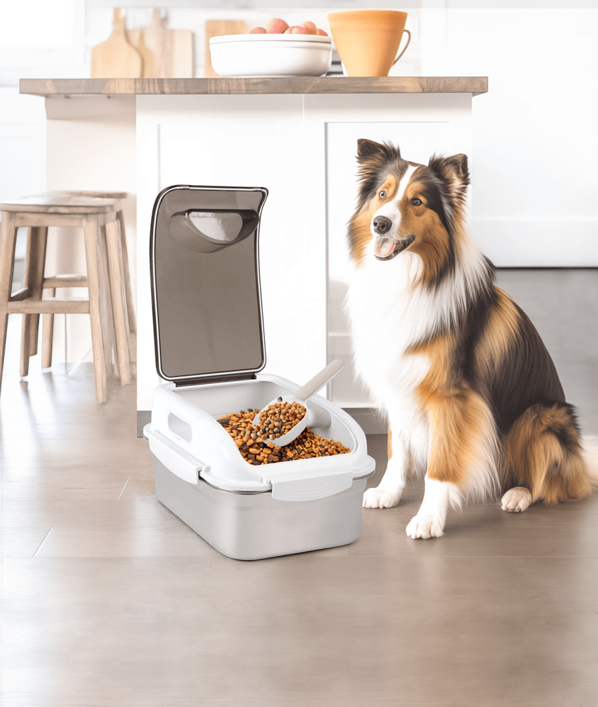 AFP Stainless Steel Pet Food Container - All For Animals
