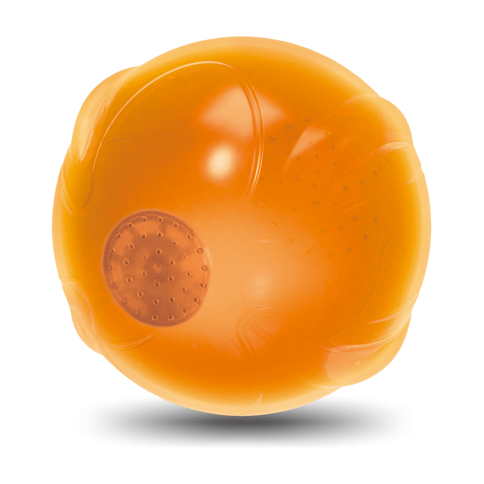 AFP Zen Pet-Anti Anxiety Speaking ball - All For Animals