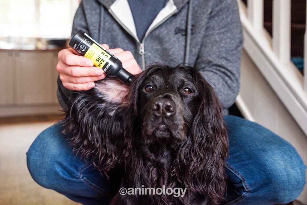 Animology Clean Ears 100 ml - All For Animals