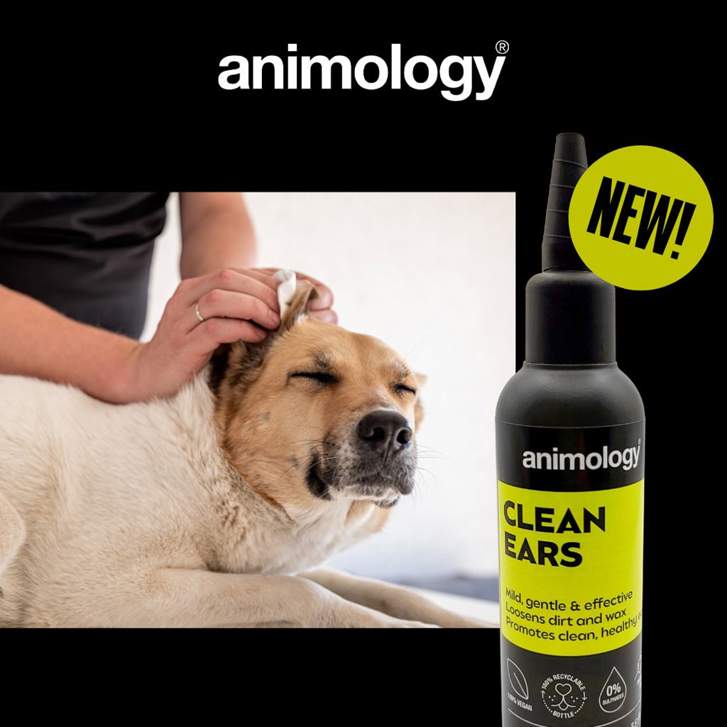 Animology Clean Ears 100 ml - All For Animals