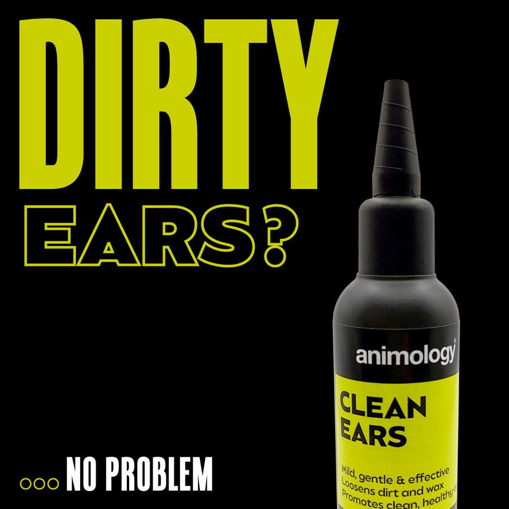 Animology Clean Ears 100 ml - All For Animals