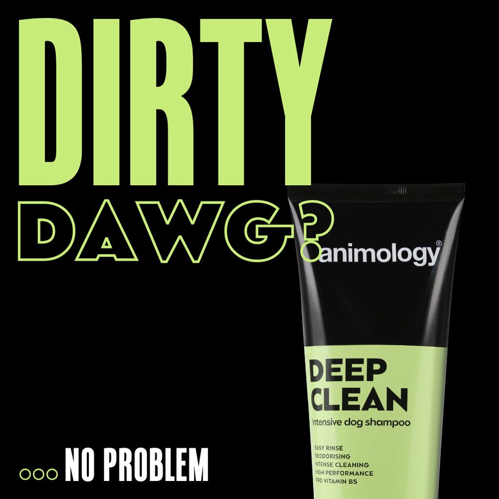 Animology Deep Clean Intensive Dog Shampoo 250 ml - All For Animals