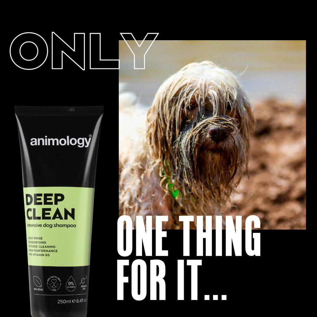 Animology Deep Clean Intensive Dog Shampoo 250 ml - All For Animals