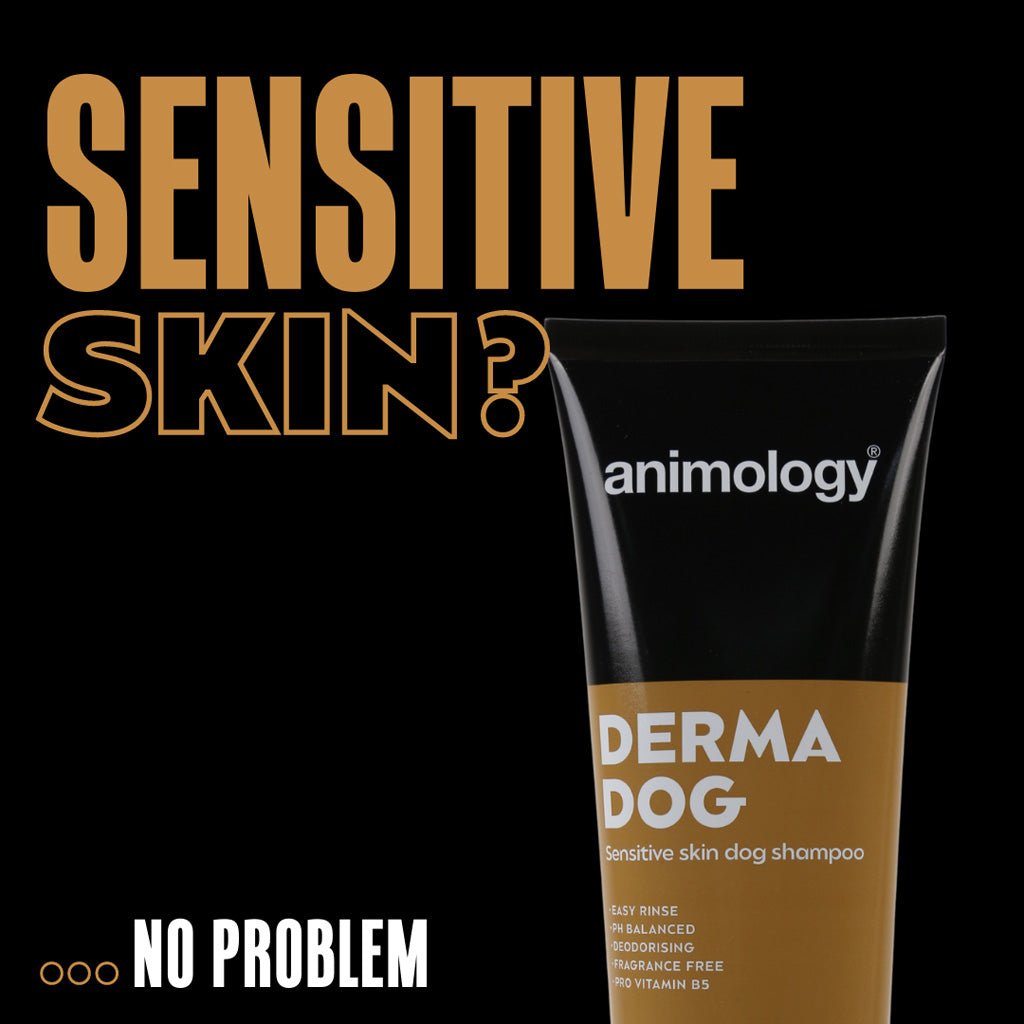 Animology Derma Dog Sensitive Skin Dog Shampoo 250 ml - All For Animals