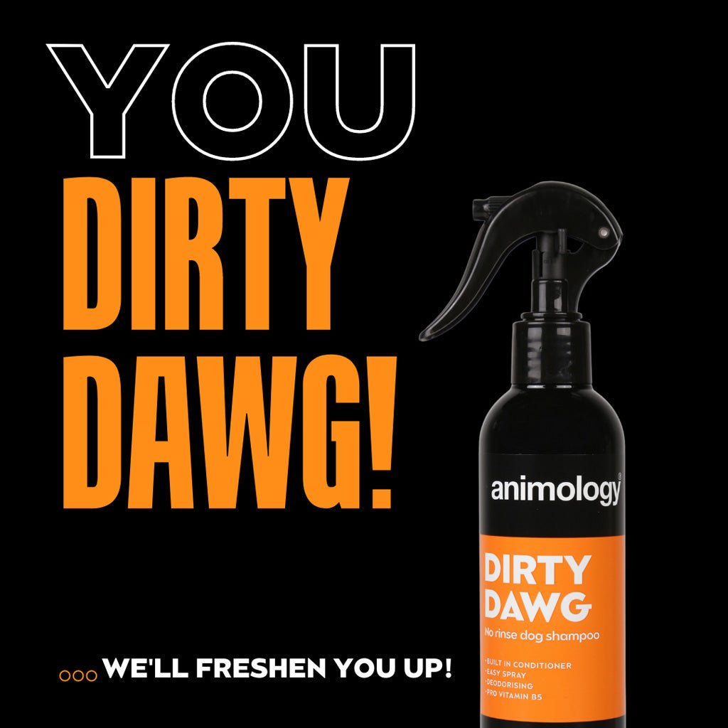 Animology Dirty Dawg No Rinse Dog Shampoo 250 ml - All For Animals
