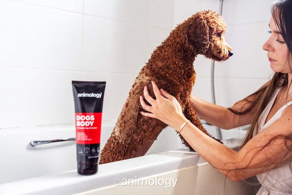 Animology Dogs Body Dog Shampoo 250 ml - All For Animals
