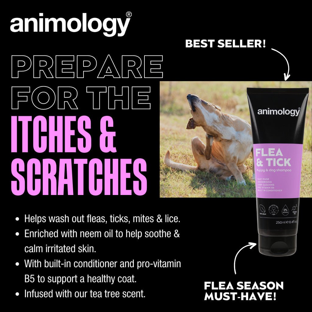 Animology Flea & Tick Dog Shampoo 250 ml - All For Animals