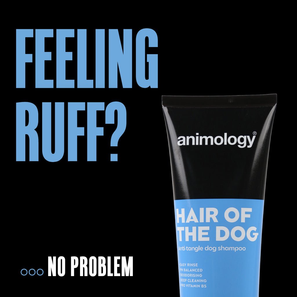Animology Hair Of The Dog Anti-Tangle Dog Shampoo 250 ml - All For Animals