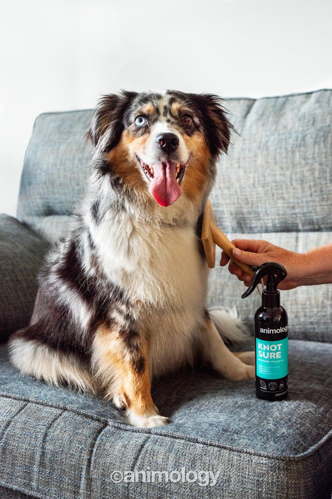 Animology Knot Sure De-Tangle Dog Spray 250 ml - All For Animals