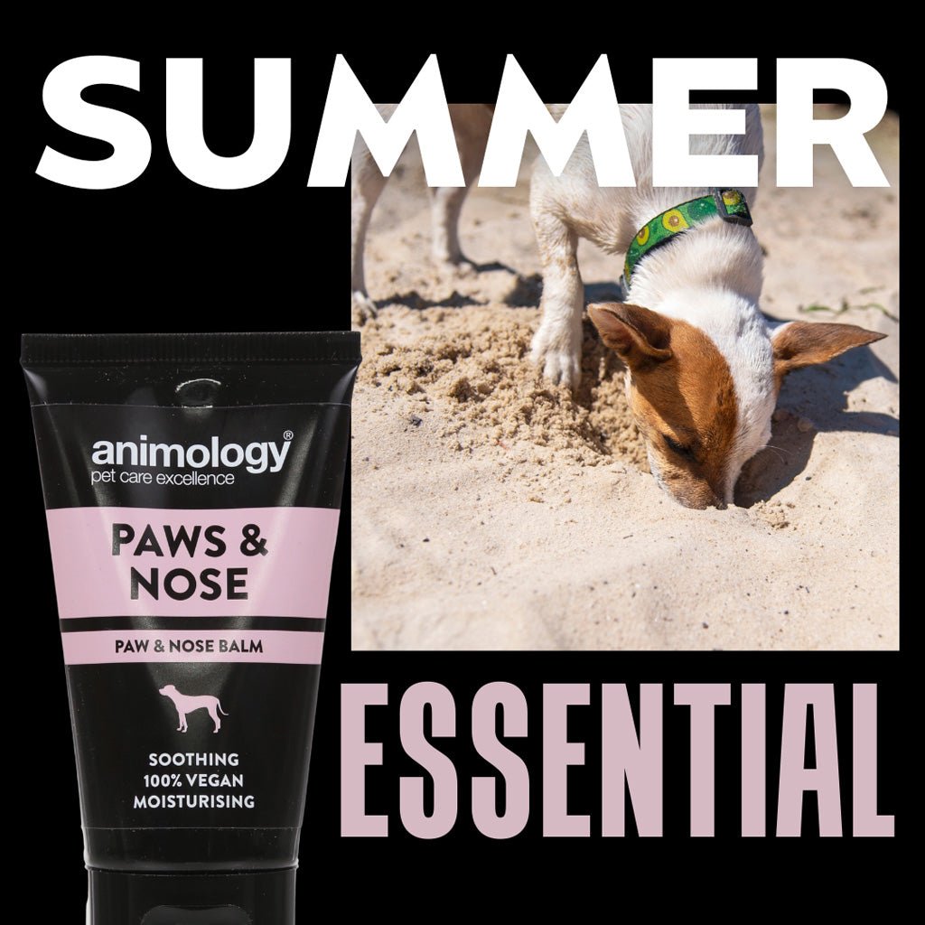 Animology Paws & Nose Balm 50 ml - All For Animals