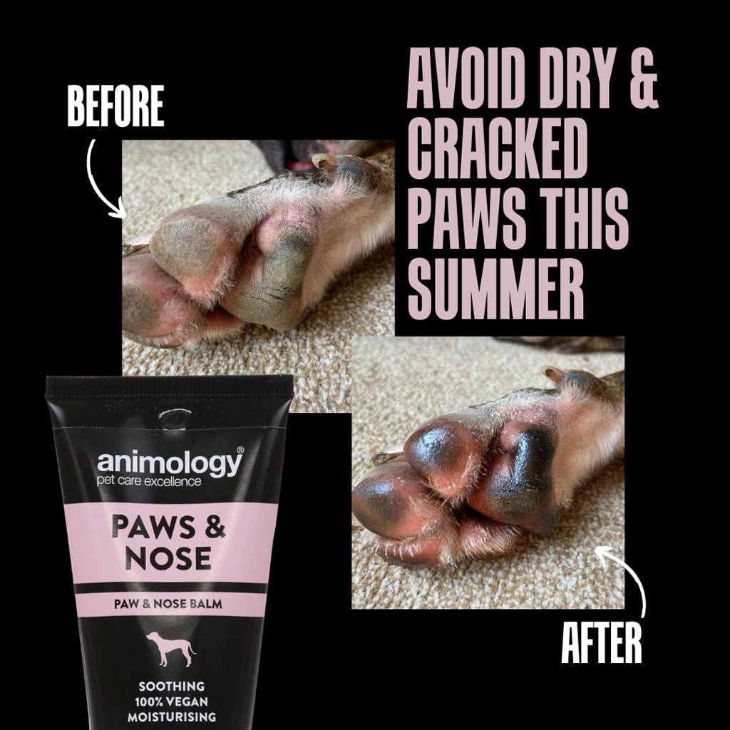 Animology Paws & Nose Balm 50 ml - All For Animals