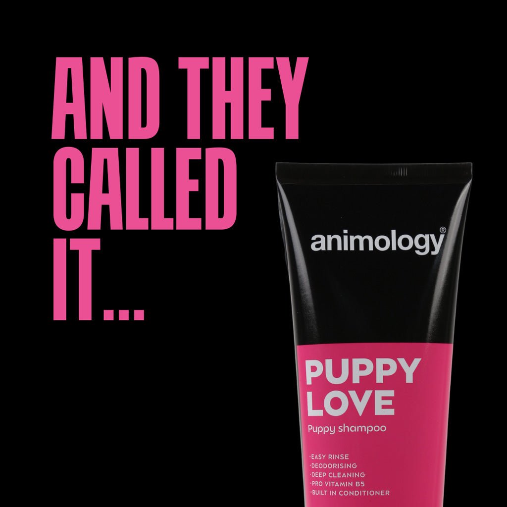 Animology Puppy Love Puppy Shampoo 250 ml - All For Animals