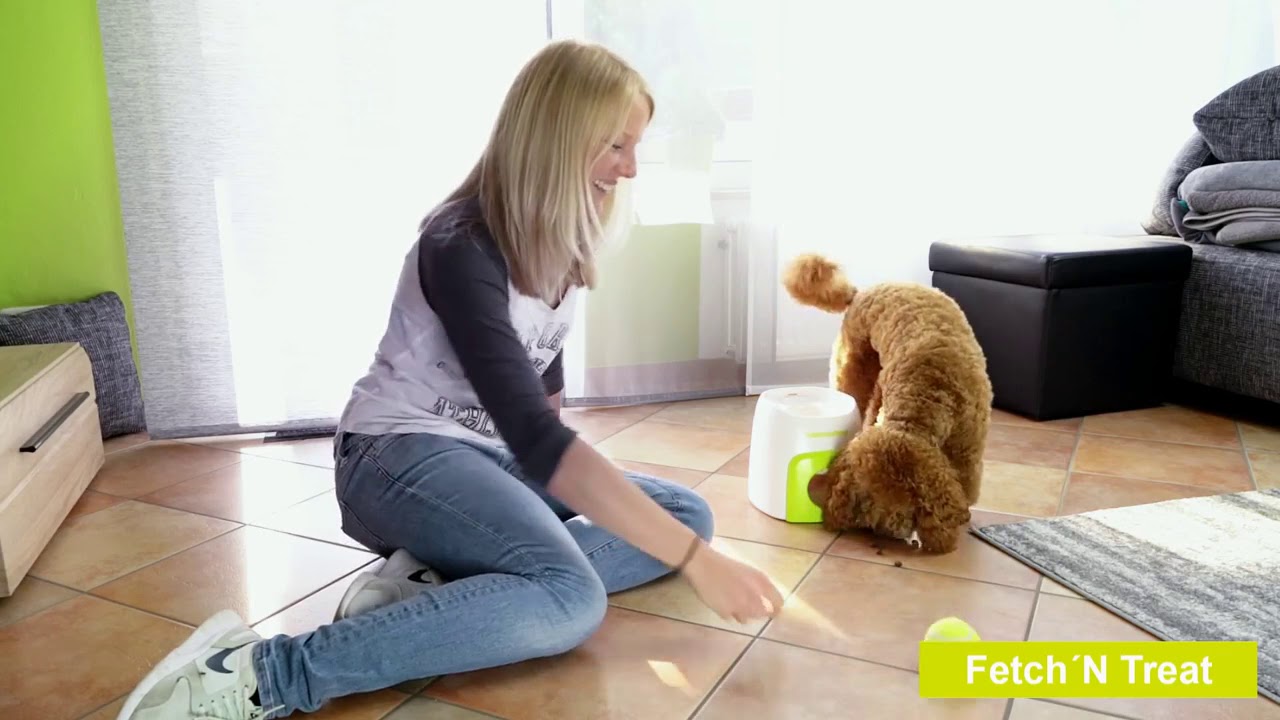 AFP Interactives Fetch'N'Treat Original