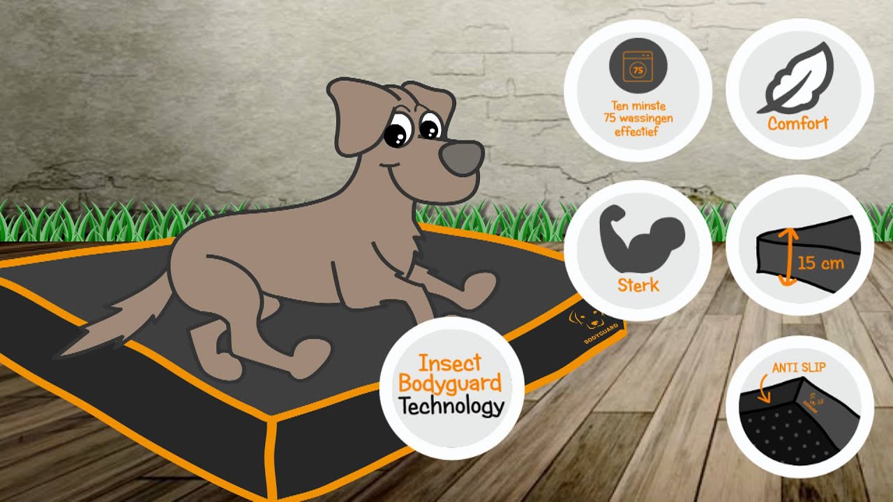 Bodyguard Sofa Bed Grijs S - All For Animals