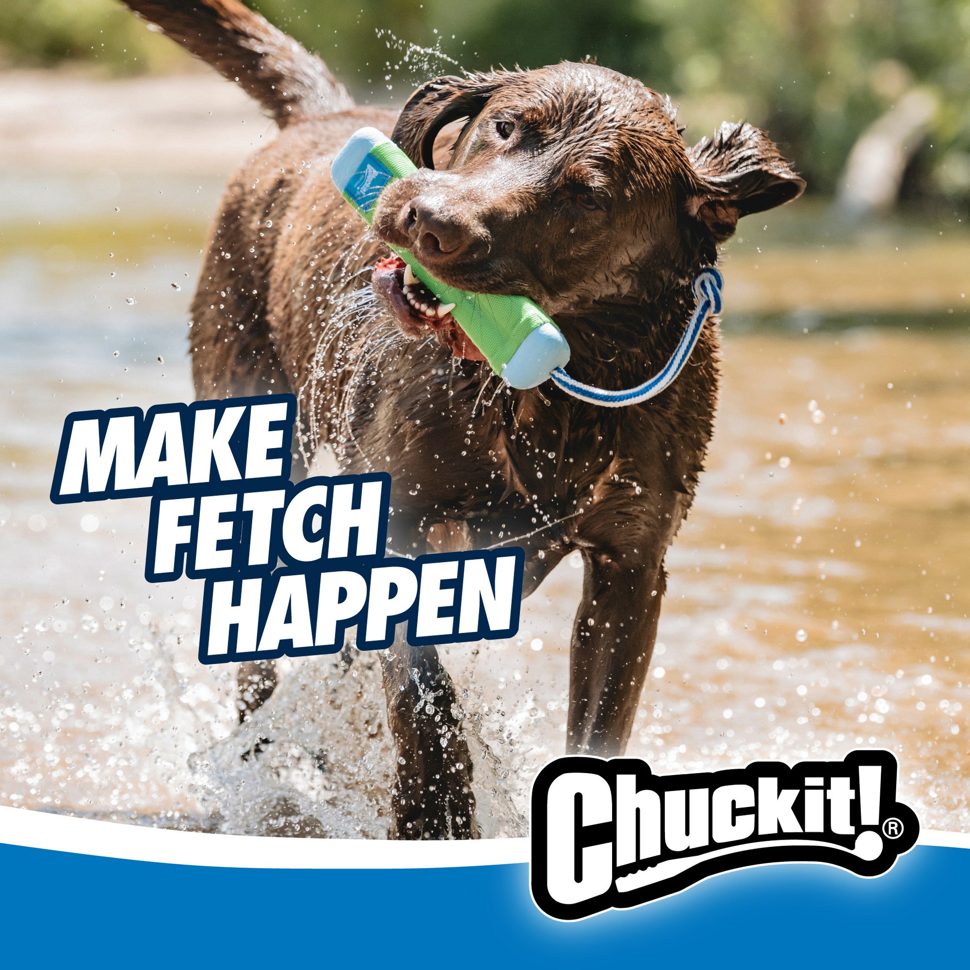 Chuckit! Amphibious Bumper
