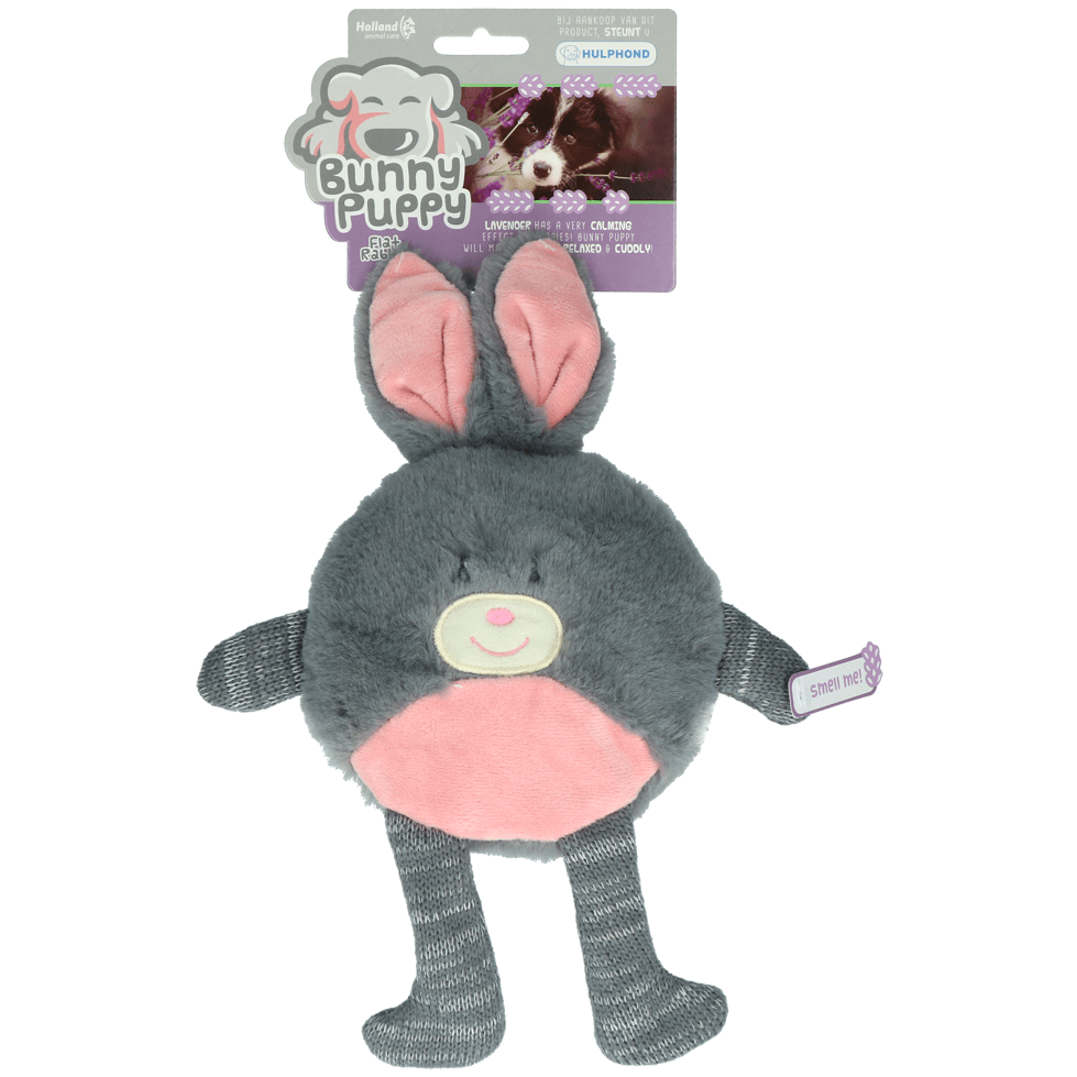 Bunny Puppy Flat Rabbit - All For Animals