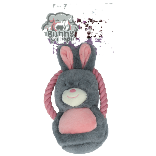Bunny Puppy Ropey Swing - transparante productafbeelding