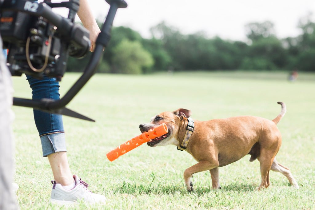 Chuckit! Air Fetch Stick - All For Animals