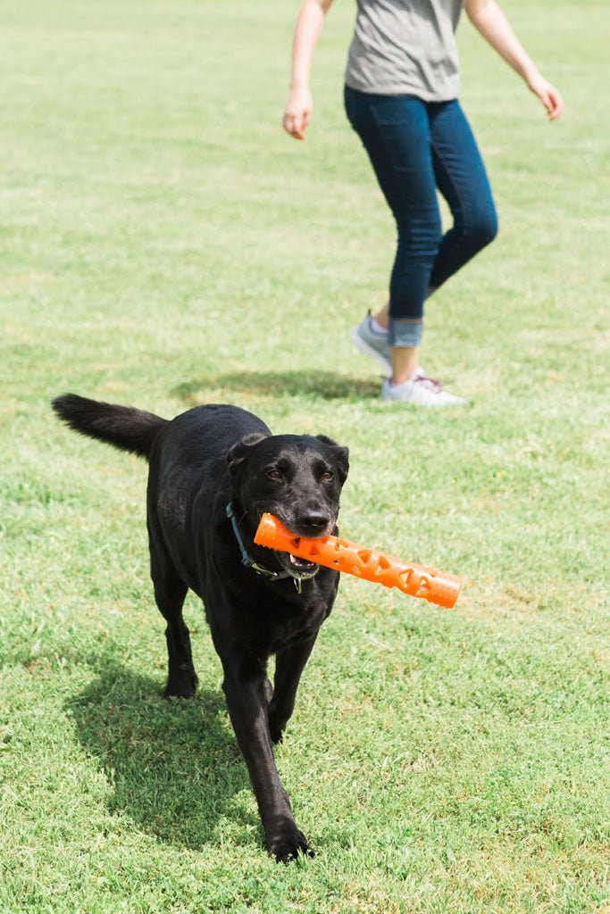 Chuckit! Air Fetch Stick - All For Animals