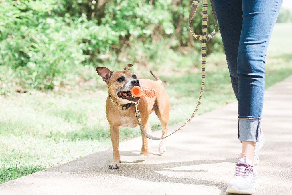 Chuckit! Air Fetch Stick - All For Animals