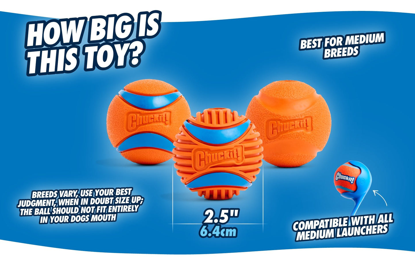 Chuckit! Fetch Ball - all for animals