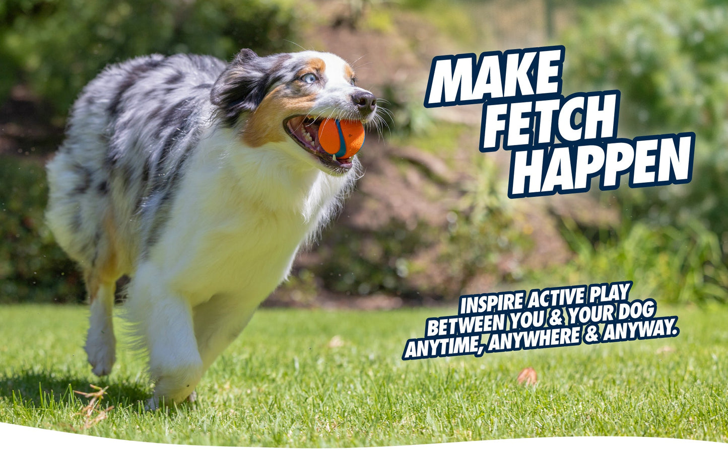 Chuckit! Fetch Ball - all for animals