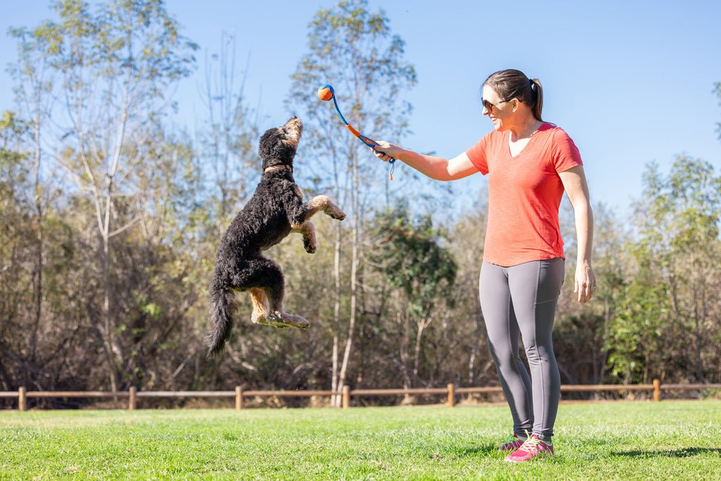 Chuckit! Fetch & Fold Launcher Mini - all for animals