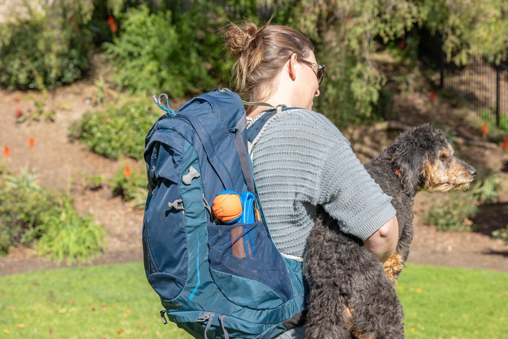 Chuckit! Fetch & Fold Launcher Mini - all for animals