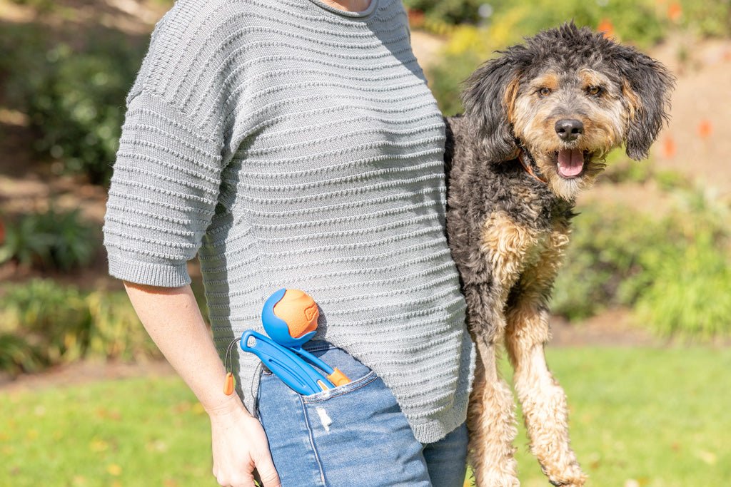 Chuckit! Fetch & Fold Launcher Mini - all for animals