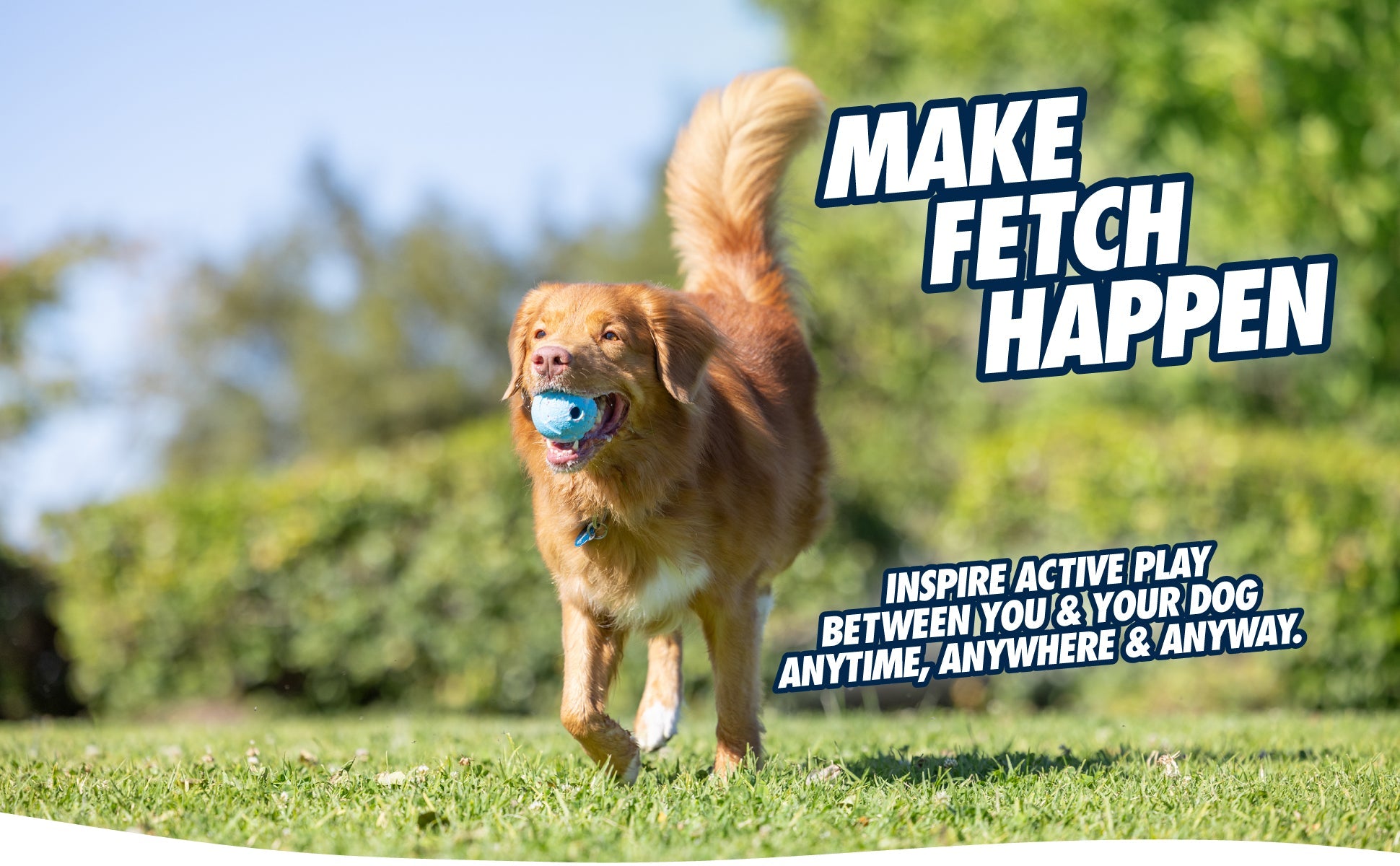 Chuckit! Fetch Medley S - all for animals