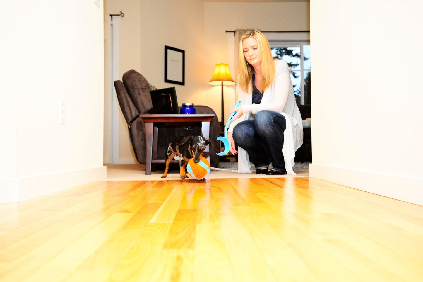 Chuckit! Indoor Ball - all for animals