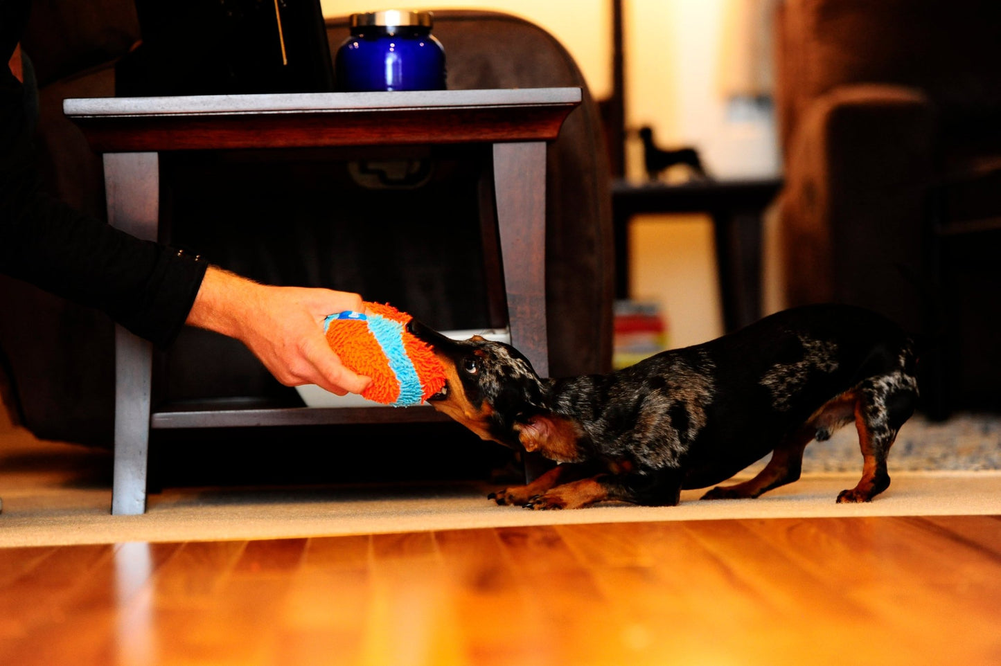 Chuckit! Indoor Ball - all for animals
