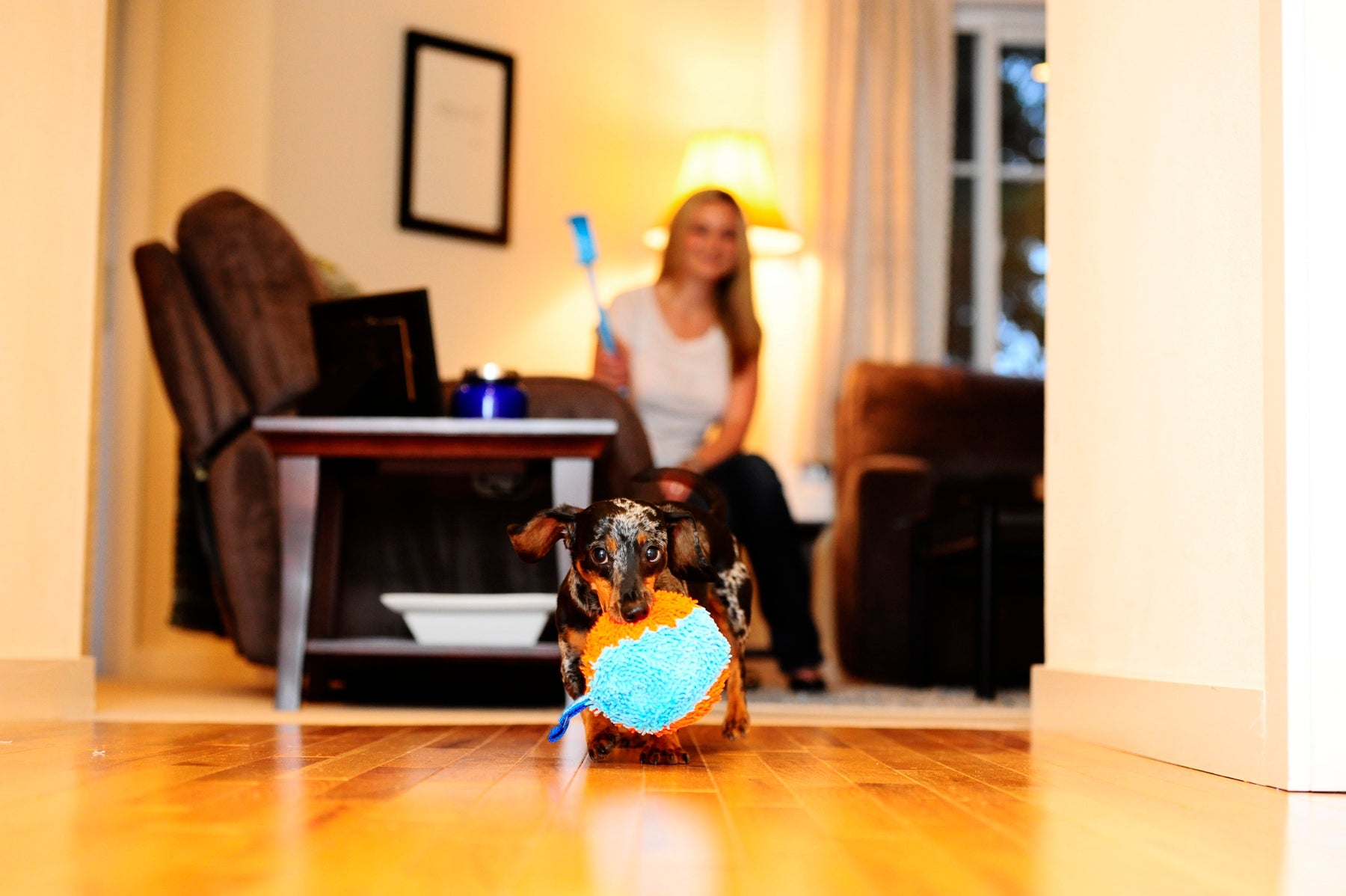 Chuckit! Indoor Shaker - all for animals
