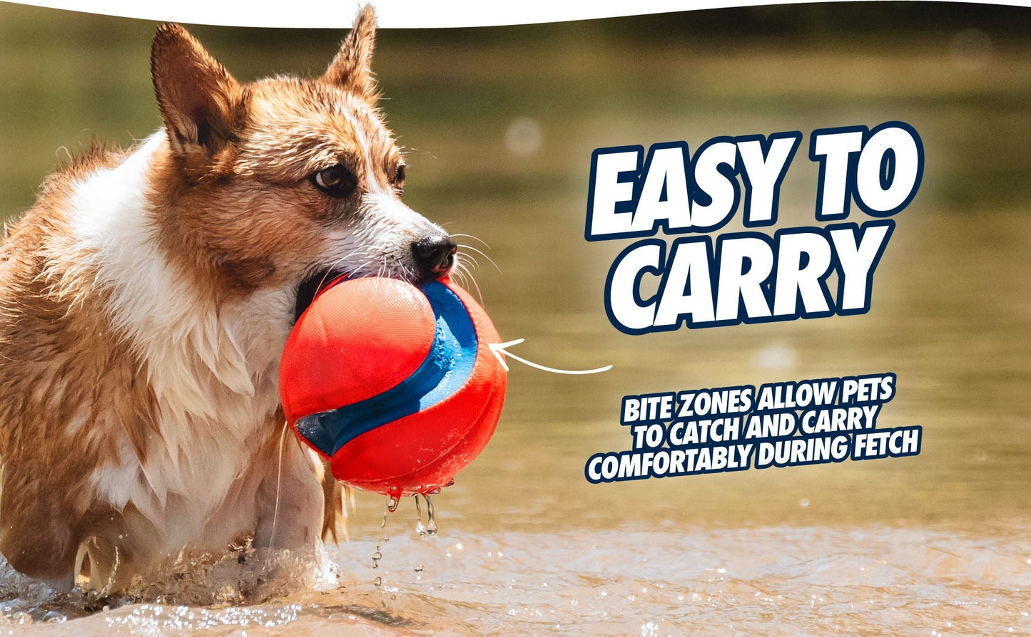 Chuckit! Kick Fetch Dog - all for animals