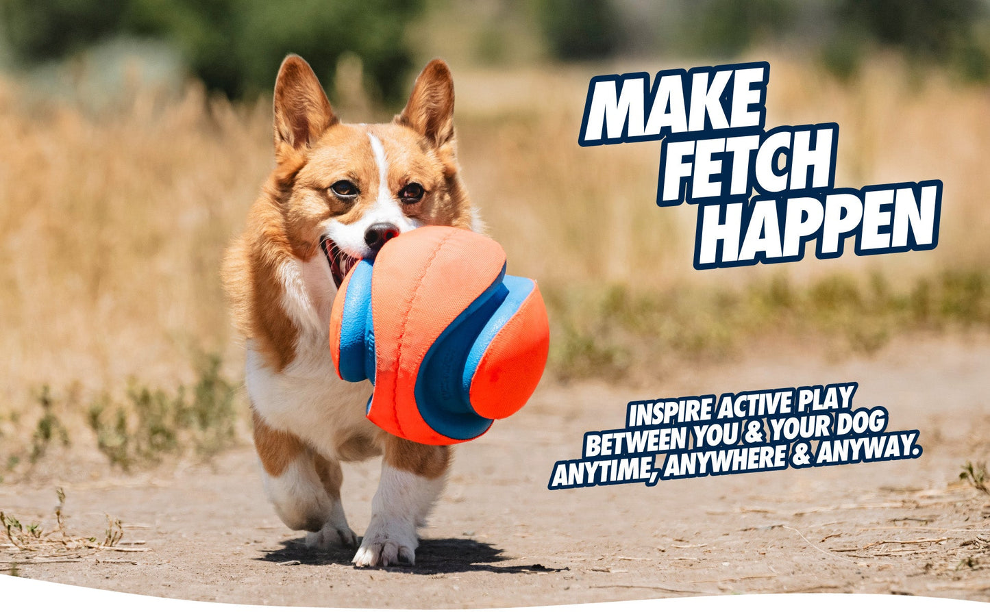 Chuckit! Kick Fetch Dog - all for animals