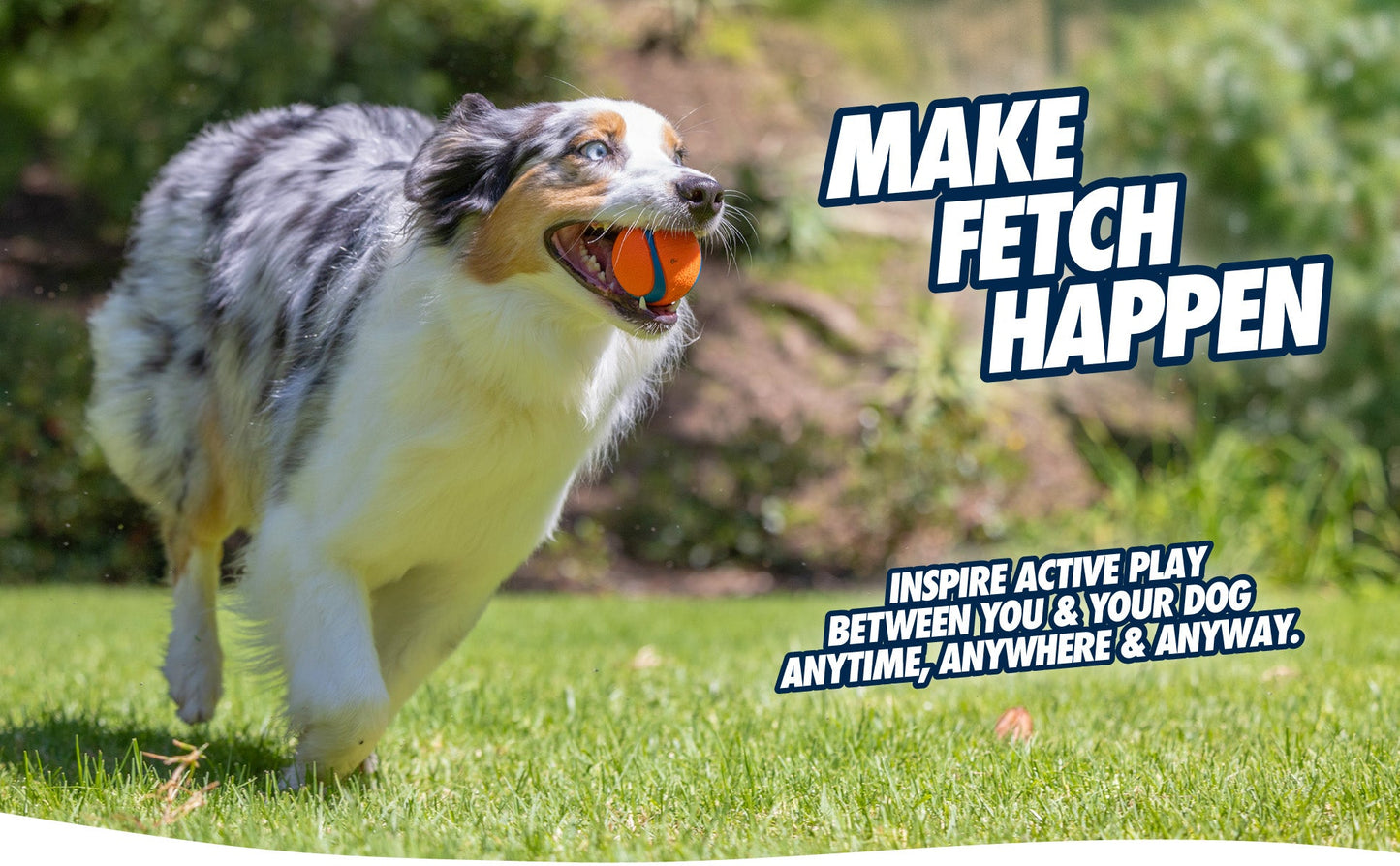 Chuckit! Max Glow Ultra Squeaker Ball M - all for animals