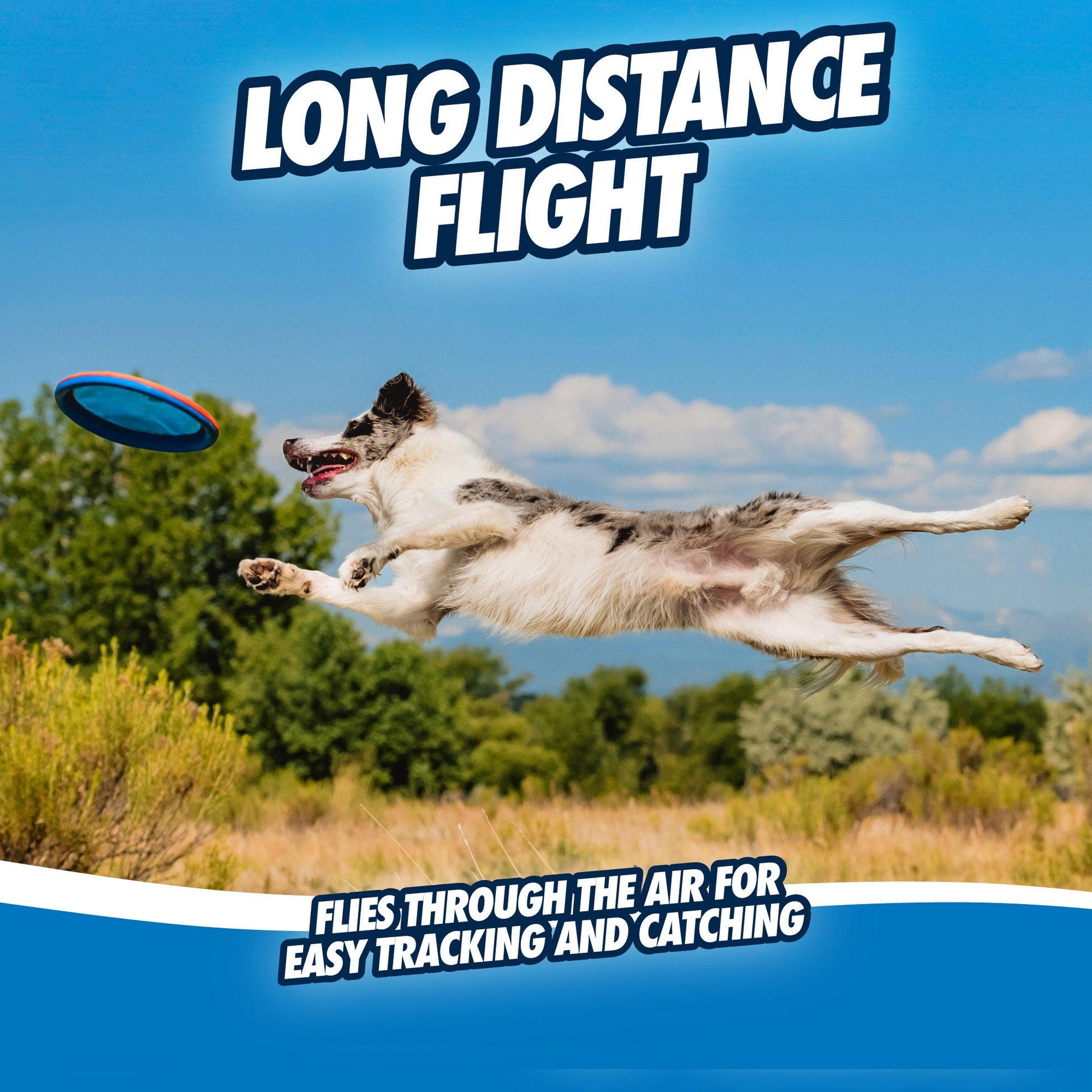 Chuckit! Paraflight - all for animals