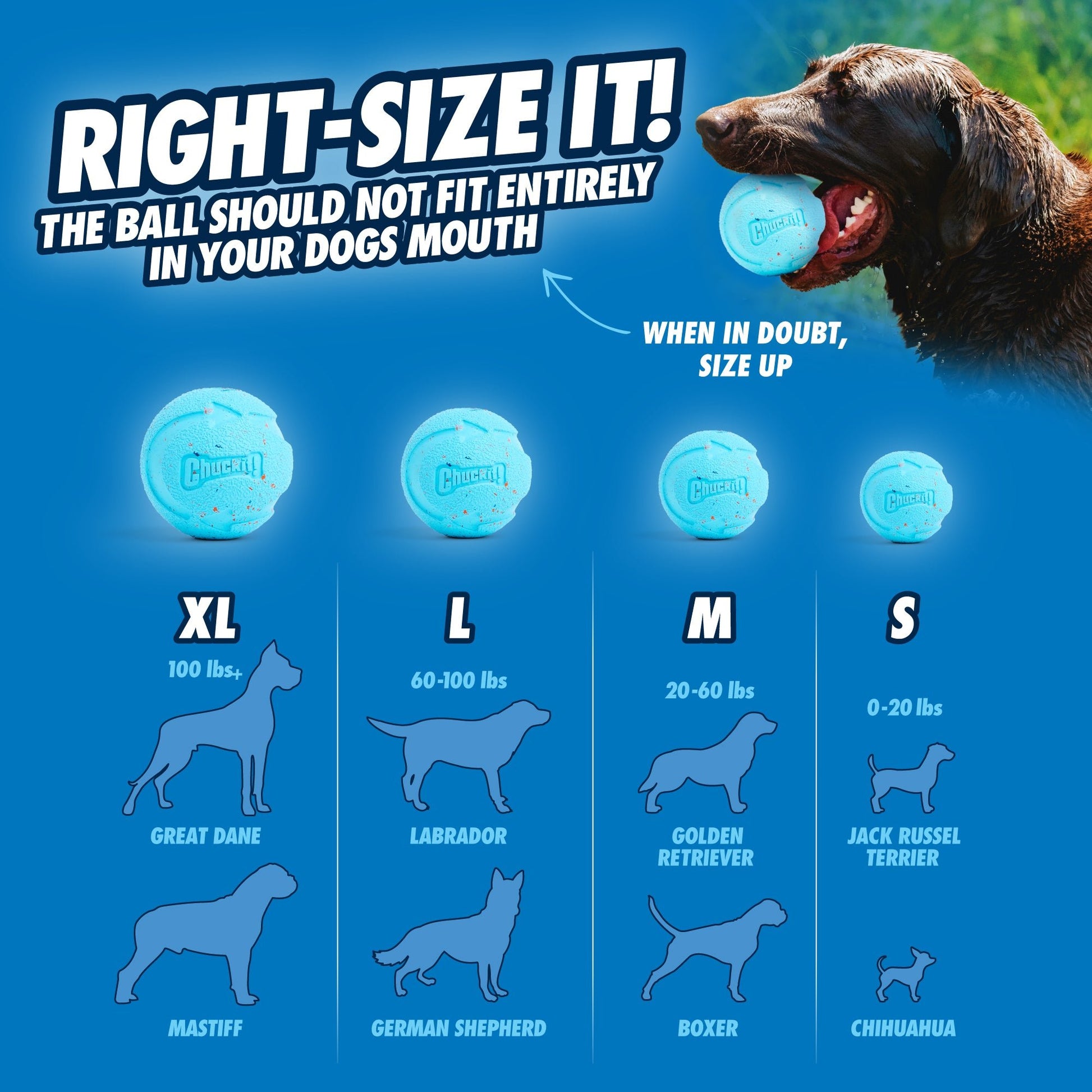 Chuckit! Rebounce Fetch Ball M (2 - pack) - all for animals