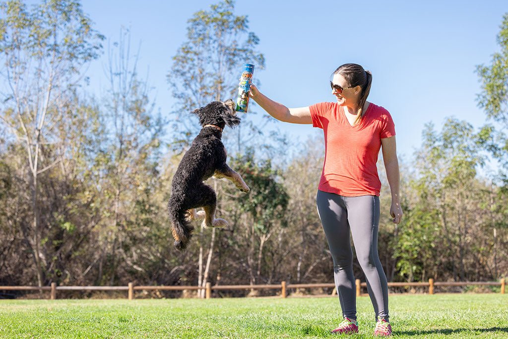 Chuckit! Sniff Fetch Ball Bacon & Peanut Butter M 4 - pack - all for animals