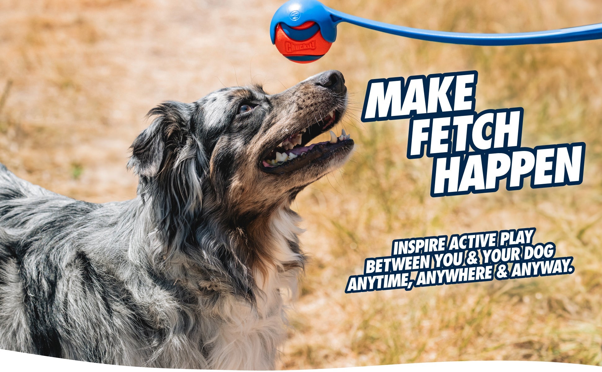 Chuckit! Sport Launcher - all for animals