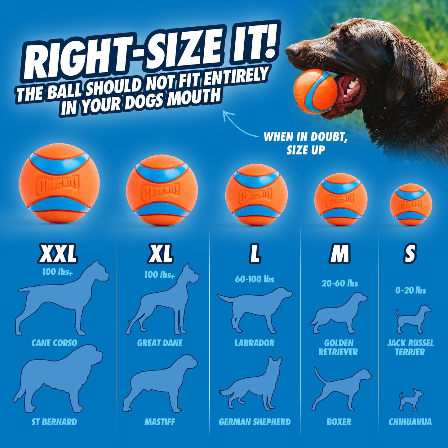 Chuckit! Sport Launcher - all for animals
