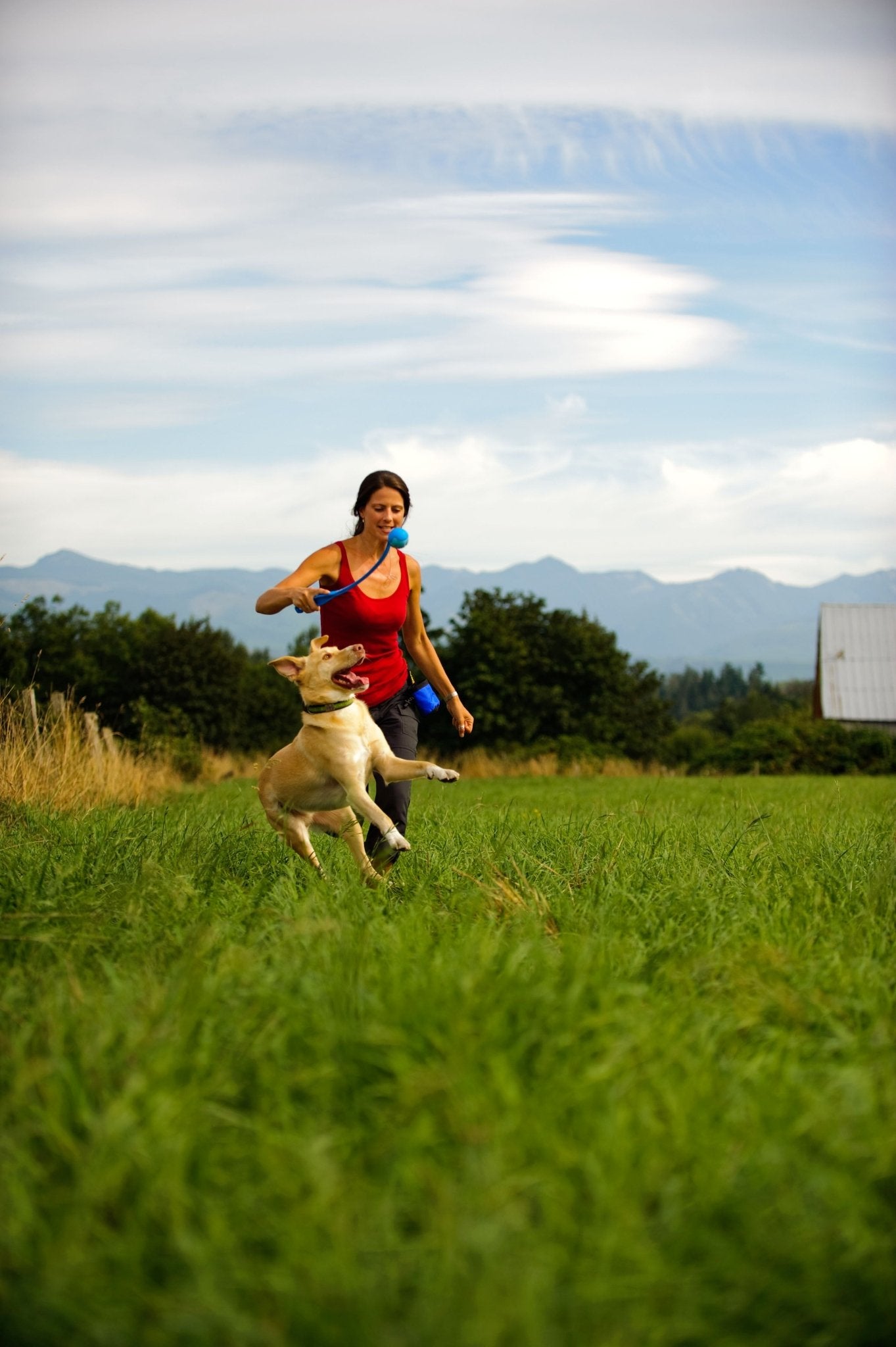 Chuckit! The Whistler S (2 - pack) - all for animals