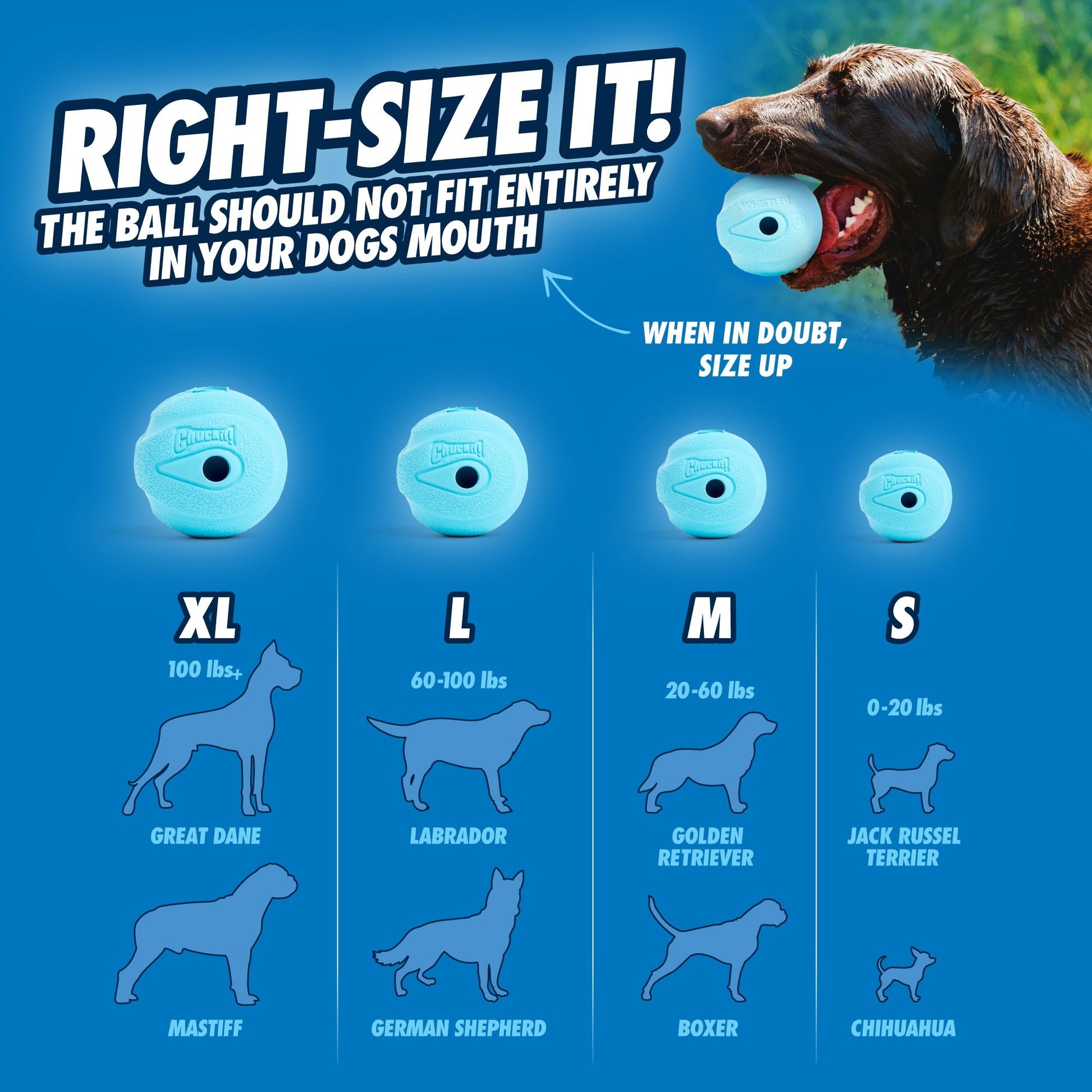Chuckit! The Whistler S (2 - pack) - all for animals