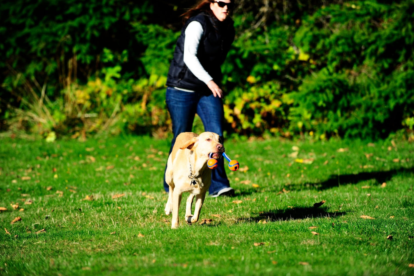 Chuckit! Ultra Duo Tug - all for animals